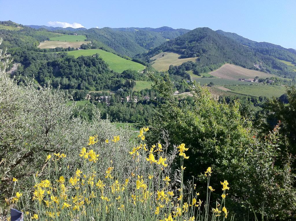 Corte San Ruffillo Country Resort Dovadola 外观 照片