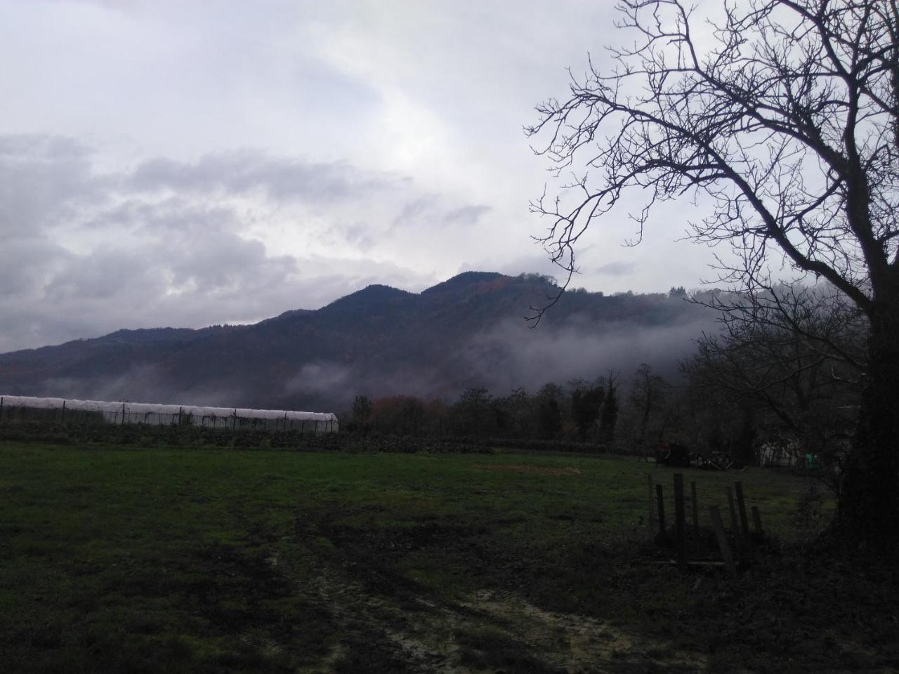 Corte San Ruffillo Country Resort Dovadola 外观 照片